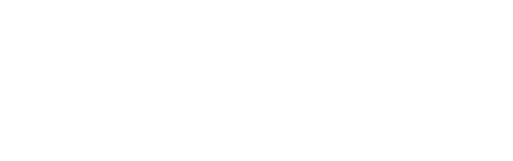 Polaris Payments